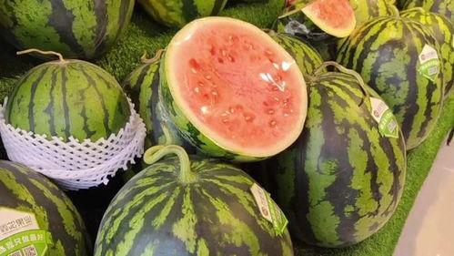 广州夏天吃瓜
