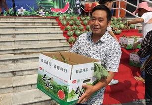 唐唐过年吃瓜,趣味横生的春节美食之旅