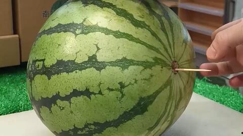 山东吃高瓜吗,探寻高瓜的独特风味