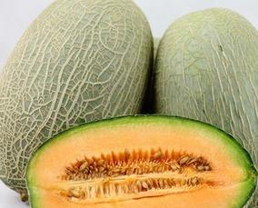 姐妹们吃哈密瓜,甜蜜滋味传递友谊