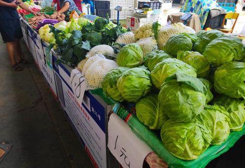 摆摊吵架吃瓜,摆摊吵架吃瓜成热门话题