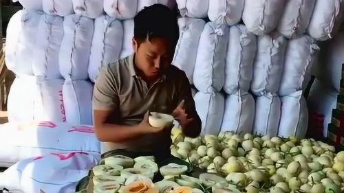 吃瓜就这么豪横,揭秘瓜界豪杰风采