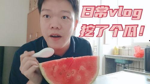 vlog怎么吃瓜,解锁夏日清凉新姿势