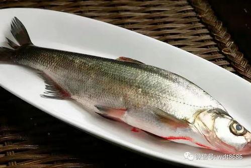 困困鱼吃瓜,揭秘娱乐圈那些不为人知的幕后故事