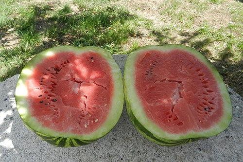 梦到水里摘瓜果吃瓜,水中摘瓜果的奇幻之旅