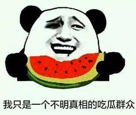 瓜瓜到底吃不吃瓜,揭秘瓜瓜的瓜食态度