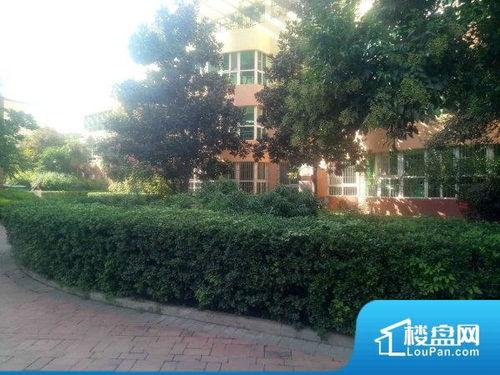 旭景园吃瓜,吃瓜群众的欢乐盛宴