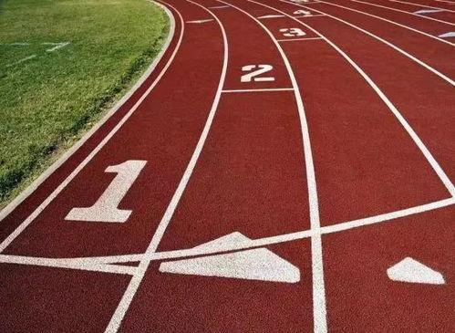 带你吃瓜人生跑道,带你领略人生跑道上的瓜田盛宴