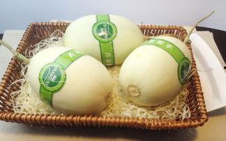 白玉瓜怎么催熟快速吃,轻松享受美味佳肴