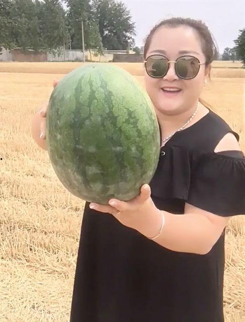 在地里吃瓜搞笑,瓜香四溢，欢乐无限