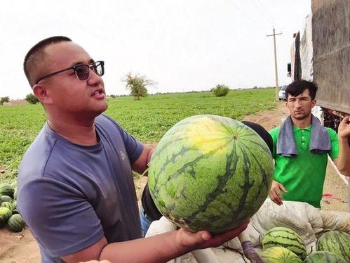 闯关吃瓜场面图片,闯关吃瓜场面欢乐无限