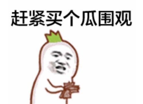 吃瓜表情怎么解释的,揭秘网络社交中的趣味与心理