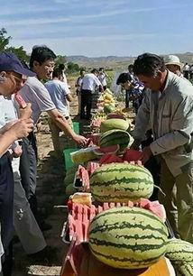 苏州吃瓜博主,跟随吃瓜博主品味姑苏风味