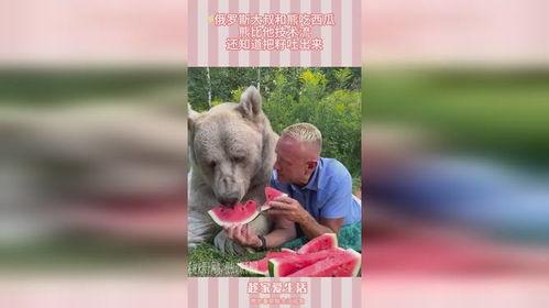 俄罗斯熊吃瓜,一场跨越国界的美食之旅