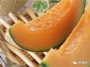 吃瓜的哈密瓜图片大全