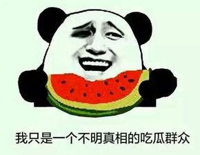 吃瓜群众在山东,吃瓜群众的热议焦点