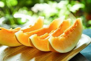 唯有吃瓜行天下