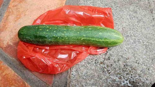 啥子瓜可以直接吃